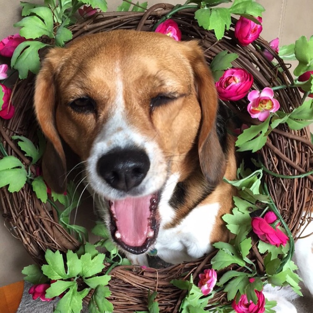 Meet your Posher, Sanjana